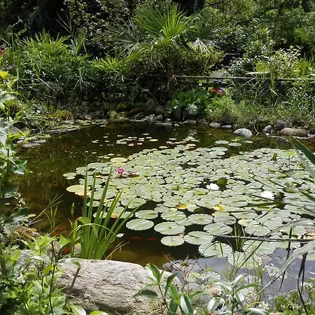 Banana 公寓式酒店