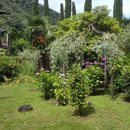 公寓式酒店 Banana *